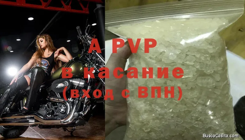 APVP СК  закладки  Кочубеевское 