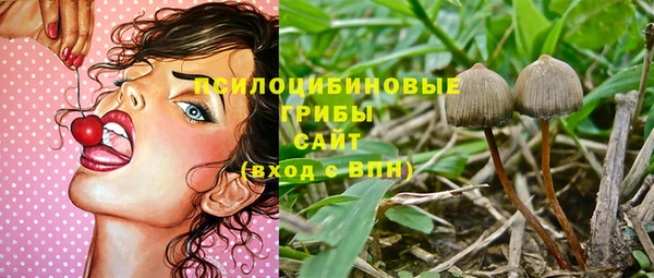 бутират Тайга