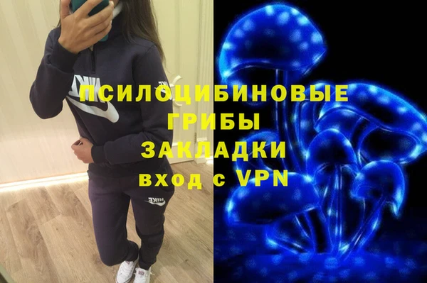 бутират Тайга